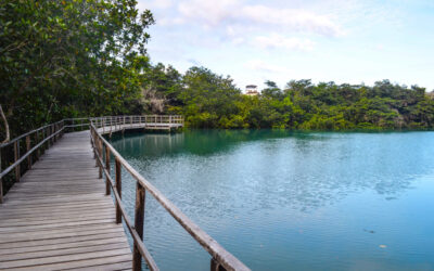 Laguna de las Ninfas